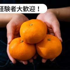 【住み込み/寮費無料】熊本県玉名郡和水町でみかんの収穫・選果・出...