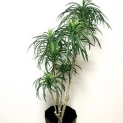 インテリア 観葉植物 フェイクグリーン 140cmの画像