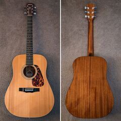 MORRIS M-35　2012年 単板トップ美品