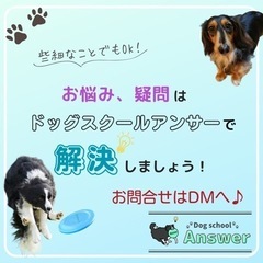 愛犬のお悩み解決します！ − 茨城県