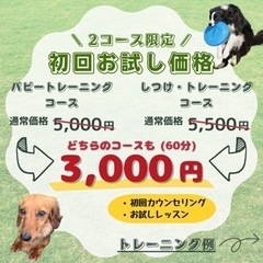 愛犬のお悩み解決します！ - つくば市