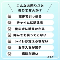 愛犬のお悩み解決します！ - ペット