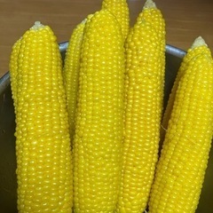 とうもろこし