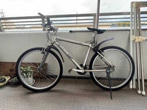 お話中　panasonic mountain cat