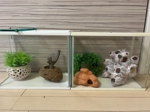 GEX 熱帯魚、金魚、メダカ用水槽