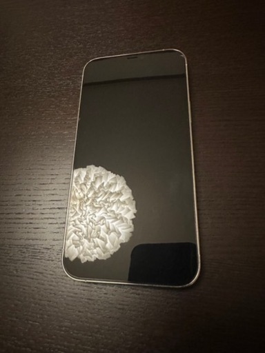 【 超美品 】iPhone 12 Pro Max 容量512G