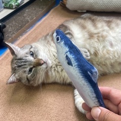 幸せになりました！/ 癒しのツチノコ