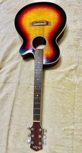 Pro Martin CUSTOM ギター