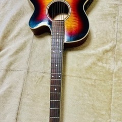 Pro Martin CUSTOM ギター