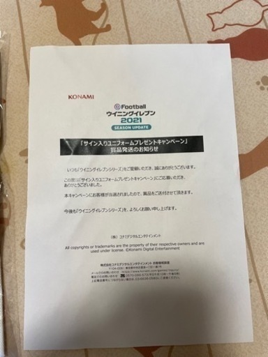 クリスティアーノロナウド　直筆サイン入りユニフォーム