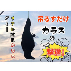 【成立終了】目には目を🐦‍⬛カラスにはカラスを❗カラス撃退 吊り下げリアルカラス🅱️／小振りサイズ 羽毛付き✨開封済み未使用品の画像