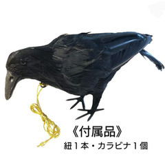 【成立終了】目には目を🐦‍⬛カラスにはカラスを❗カラス撃退 吊り...
