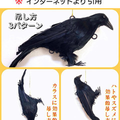 【成立終了】目には目を🐦‍⬛カラスにはカラスを❗カラス撃退 吊り下げリアルカラス🅱️／小振りサイズ 羽毛付き✨開封済み未使用品の画像