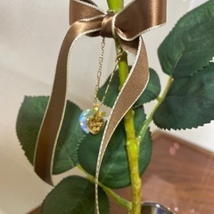 エメラルドバラケース付の画像