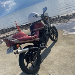 HONDA NS1 