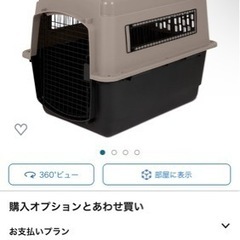 急募　柴犬　豆柴　とろろくん - 鴻巣市