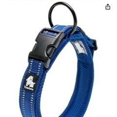 急募　柴犬　豆柴　とろろくん - 犬