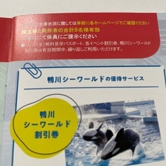 早い者勝ち！鴨川シーワールド優待券。ポンチョ付の画像