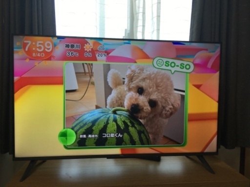 土曜日までに　値下げしました　43インチ4Kチューナー内蔵Androidテレビ　TCL 43P735