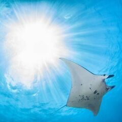 最新の起業法を先着２名まで無料でお伝えします💡これがわかれば１年...