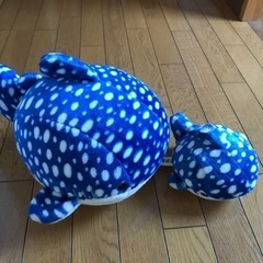 海遊館　親子じんべいザメぬいぐるみ