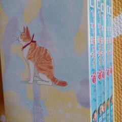 新やっぱり猫が好きDVDBOXの画像