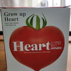 ハート形の実がなるトマト栽培セット　8月10日ハートの日♥️