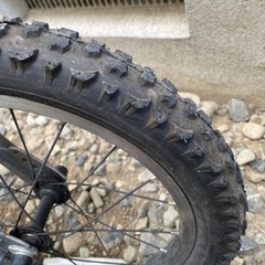 子供用　自転車　16インチ　デューリー160 あさひの画像