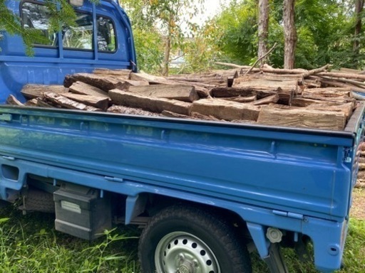 未乾燥 薪ストーブ用 広葉樹ミックス薪　軽トラ1台分