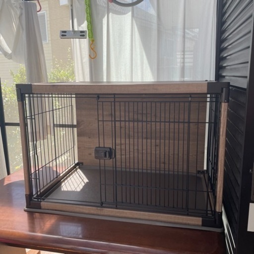 犬　サークル
