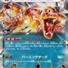ポケカ仲間募集！
