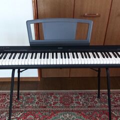 YAMAHA NP-30【値下げ】