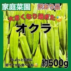 完売！ありがとう御座いました^ ^ 大きくなり過ぎたオクラ 500g