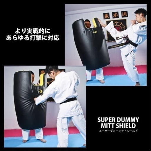スーパーダミーミットシールド★22,300円が半額以下★