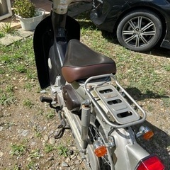リトルカブの画像