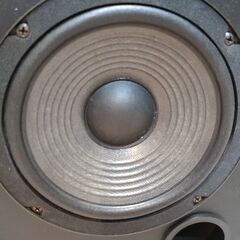 ❣9月23日まであと3日！無料、速い方優先、　JBL216　１本の画像