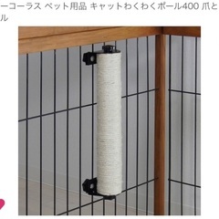 猫　爪研ぎの画像