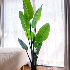 (無料)フェイクグリーンの画像