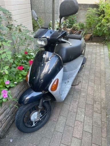 受付停止中　スズキ　原付　オイル交換済み