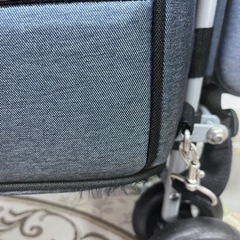 ペットキャリー　カート　　スイートハートの画像