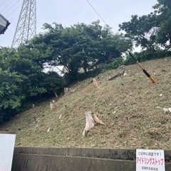 ≪見積り無料≫ 草刈り・伐採・剪定作業‼️ - 地元のお店