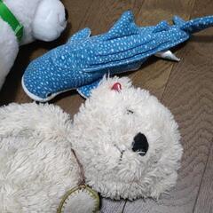 ぬいぐるみ 無料で差し上げますの画像