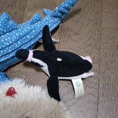 ぬいぐるみ 無料で差し上げますの画像