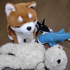 ぬいぐるみ 無料で差し上げますの画像