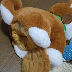 ぬいぐるみ 無料で差し上げますの画像