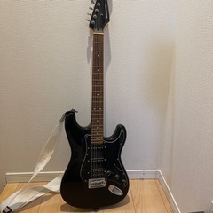 SELDER エレキギターの画像