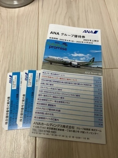 ANA株主優待　国内線半額チケット2枚　同社グループ割引クーポン冊子付き