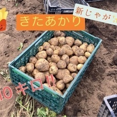 33新じゃが10キロ強　無農薬野菜　おまけ付きの画像