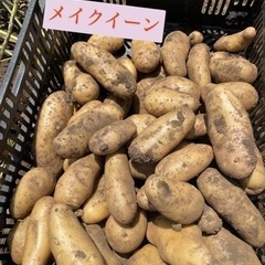 33新じゃが10キロ強　無農薬野菜　おまけ付きの画像