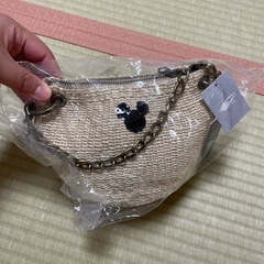 ビームス　ディズニー　ミニーちゃん　かごバック　肩掛けの画像